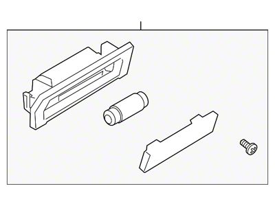 Ford License Plate Light Assembly (10-14 Mustang)