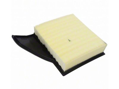 Ford Motorcraft Air Filter (10-12 Mustang)