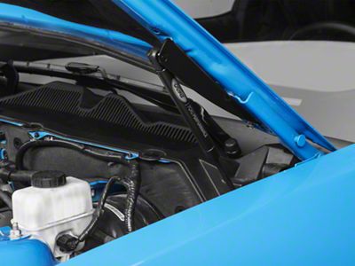 Ford Performance Hood Strut Kit w/ Ford Performance Logo (10-14 Mustang)
