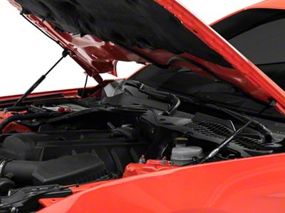 Ford Performance Hood Strut Kit with Ford Performance Logo (15-23 Mustang GT, EcoBoost, V6)