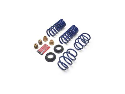 Ford Performance Track Lowering Springs (15-26 Mustang EcoBoost Fastback w/o MagneRide)