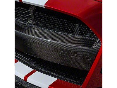 Ford Performance Front Bumper Insert; Carbon Fiber (20-22 Mustang GT500)