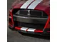Ford Performance Front Bumper Insert; Carbon Fiber (20-22 Mustang GT500)