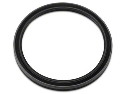 Ford Rear Main Seal (96-10 4.6L Mustang)