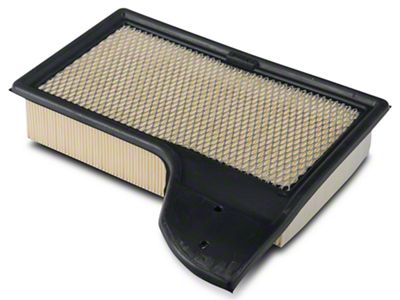 Ford Motorcraft Air Filter (15-23 Mustang GT, EcoBoost, V6)