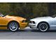 Ford Performance Lowering K-Springs (05-14 Mustang GT Coupe)