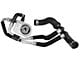 Ford Performance BOSS 302 Engine Oil Cooler (11-14 Mustang GT)