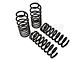 Ford Performance Lowering G-Springs (79-04 Mustang Convertible, Excluding 99-04 Cobra)