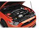 Ford Performance Radiator Cover with Ford Performance Logo (15-17 Mustang GT, EcoBoost, V6)