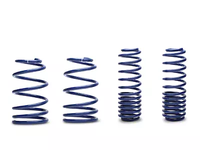 Ford Performance Lowering Spring Kit 07-14 SVT Mustang Ford Performance Lowering Spring Kit 07-14 SVT Mustang