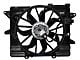 Ford Performance SVT Performance Cooling Fan (05-14 Mustang GT, GT500)