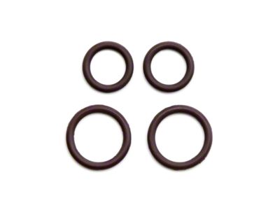 Fuel Line O-Ring Kit (86-93 5.0L Mustang)