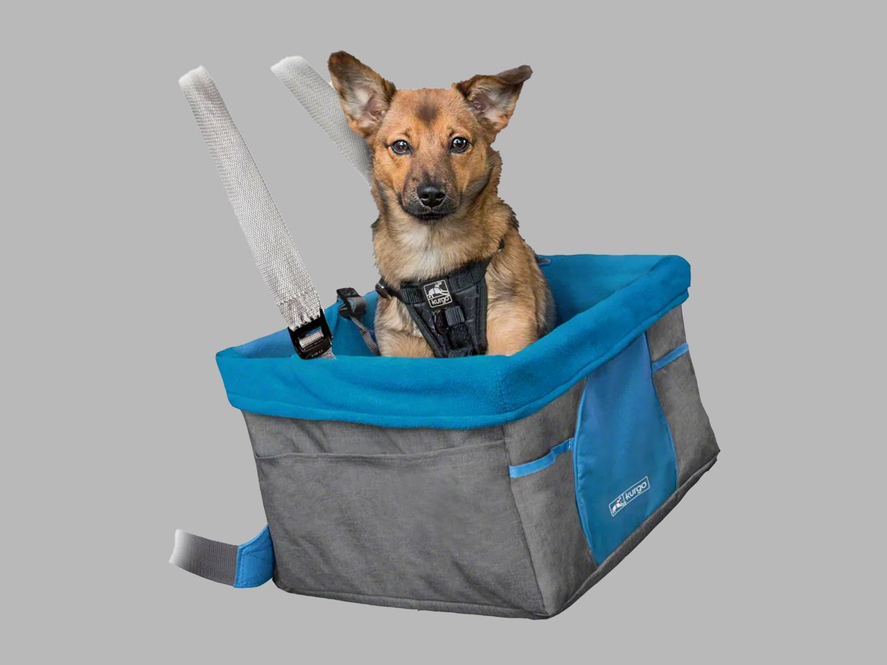 Mustang Mach-E Pet Accessories