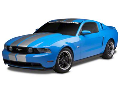 SEC10 GT500 Style Stripes; Silver; 10-Inch (79-23 Mustang)