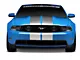 SEC10 GT500 Style Stripes; Silver; 10-Inch (79-23 Mustang)