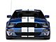 Shelby GT500 Emblem Package for Front Fascia Conversion Kit (05-09 Mustang)