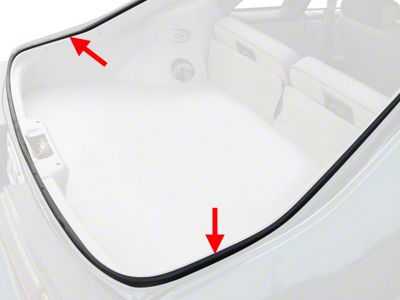 OPR Hatchback Weatherstrip Seal (79-93 Mustang)