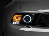 Raxiom CCFL Halo Projector Headlights; Black Housing; Clear Lens (10-12 Mustang w/ Factory Halogen Headlights)