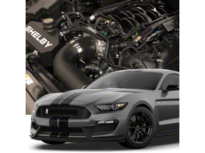 Hellion Sleeper Hidden Twin 62mm Turbo Tuner System (15-20 Mustang GT350)