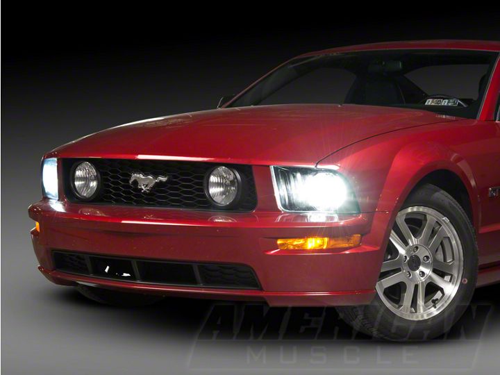 American Muscle