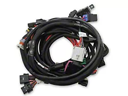 Holley EFI Coyote Ti-VCT Engine Main Wiring Harness for HP Smart Coils (11-17 Mustang GT)
