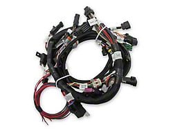 Holley EFI Coyote Ti-VCT Harness Kit (11-17 Mustang GT)