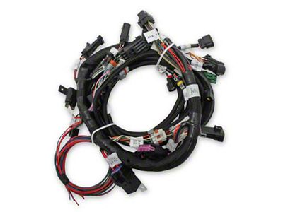 Holley EFI Coyote Ti-VCT Harness Kit (11-17 Mustang GT)