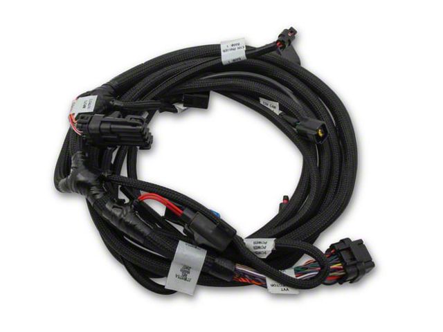 Holley EFI Coyote Ti-VCT Sub Wiring Harness (11-12 Mustang GT)
