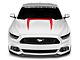SEC10 Hood Graphic Decal; Red (15-17 Mustang GT, EcoBoost, V6)