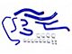HPS Silicone Radiator and Heater Coolant Hose Kit; Blue (15-17 Mustang V6)