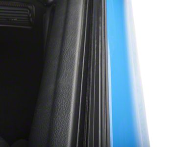 Inner and Outer Door Belt Weatherstrip Kit (94-04 Mustang)