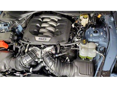 J&L 3.0 Oil Separator; Clear/Satin Anodized; Passenger Side (24-25 Mustang GT, Dark Horse)