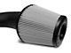 JLT Cold Air Intake with Red Oiled Filter (15-17 GT w/ Roush or VMP Supercharger)