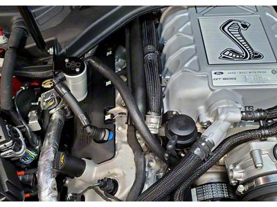 J&L 3.0 Oil Separator; Clear/Satin Anodized; Passenger Side (20-22 Mustang GT500)
