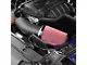 JLT Cold Air Intake with White Dry Filter (15-20 Mustang EcoBoost)