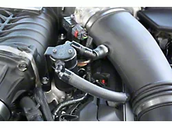 J&L 3.0 Oil Separator; Black Anodized; Driver Side (11-14 GT w/ Roush, VMP or Whipple Supercharger; 15-17 GT w/ Roush or VMP Supercharger)
