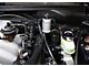 J&L 3.0 Oil Separator; Clear/Satin Anodized; Driver Side (96-98 Mustang Cobra; 2001 Mustang Bullitt)
