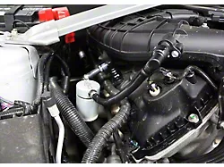 J&L 3.0 Oil Separator; Clear/Satin Anodized; Passenger Side (11-17 Mustang V6)
