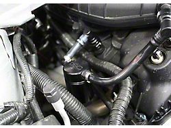 J&L 3.0 Oil Separator; Black Anodized; Passenger Side (11-17 Mustang V6)