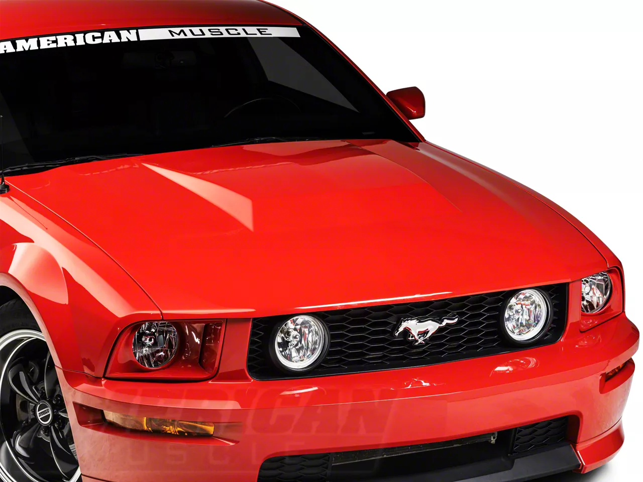 ELSINORE マスタング ボディ ELSINORE マスタング ボディ ELSINORE マスタング ボディ ELSINORE