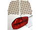 Lamin-X Tail Light Tint Covers; Red (08-14 Challenger)