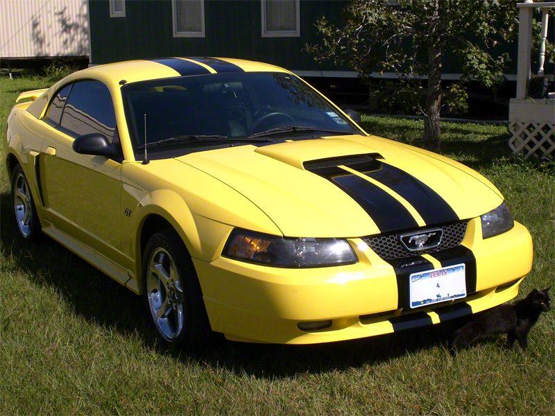 ジェーエイチ デザイン Ford Mustang Jacket フォード