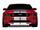 SEC10 Lemans Stripes; Silver; 12-Inch (79-23 Mustang)