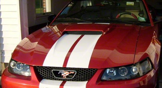 SEC10 Mustang Lemans Stripes; White; 8-Inch 26054 (79-23