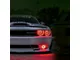 Lighting Trendz Flow Series Headlight Halo Kit with Projector Halos and Bluetooth Controller (15-23 Challenger)