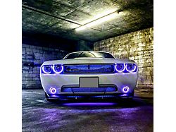 Lighting Trendz Waterproof Flow Series Headlight Halo Kit with Bluetooth Controller (08-14 Challenger)