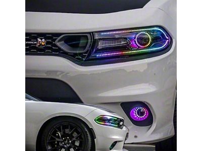 Lighting Trendz RGBW Headlight DRL Boards with Projector Halos and Bluetooth Controller (15-23 Charger)