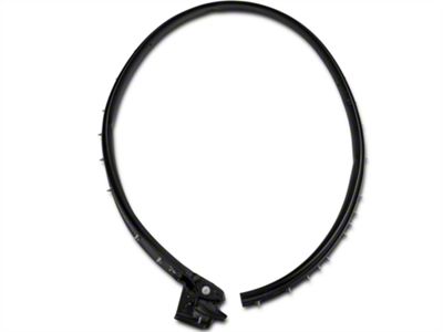 Lower Door to Body Weatherstrip; Passenger Side (05-09 Mustang)
