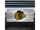 License Plate with Chicago Blackhawks Logo; Stainless Steel (Universal; Some Adaptation May Be Required)