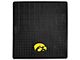 Molded Trunk Mat with University of Iowa Logo (Universal; Some Adaptation May Be Required)